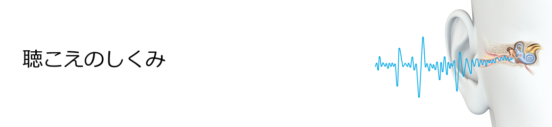 聴こえのしくみ