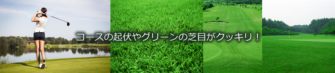 ゴルフ専用レンズ